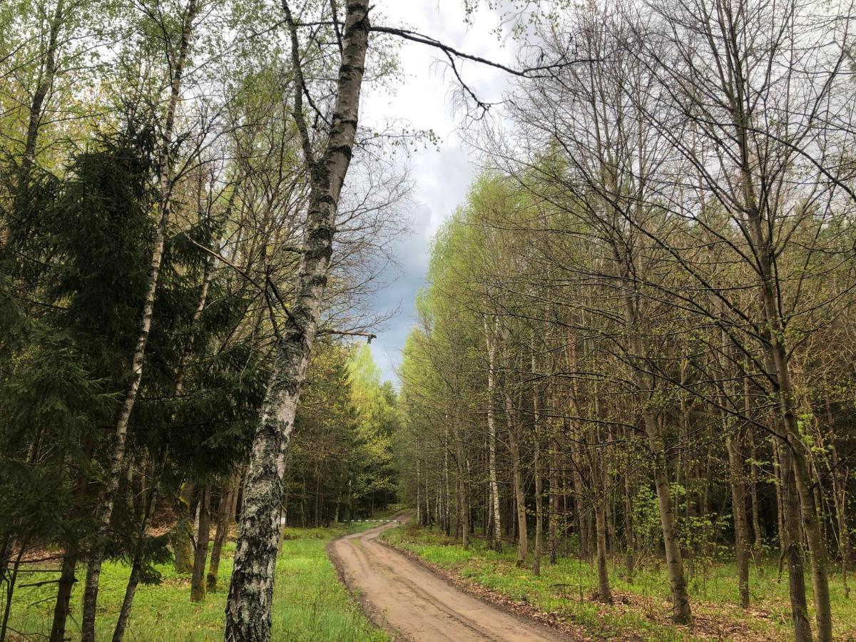 Letnisko Symsar 6, Drewniany Letniskowy Z Ogrodem Lodge *